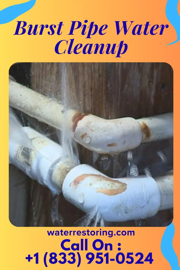 Burst Pipe Water Cleanup in Rose Hill, IL