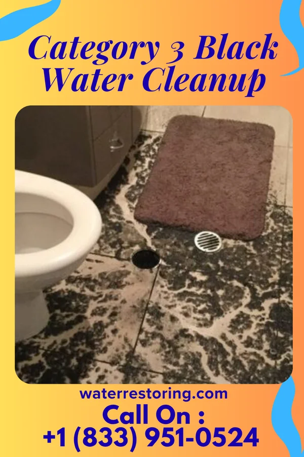 Category 3 Black Water Cleanup in Rose Hill, IL