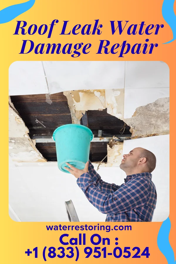 Roof Leak Water Damage Repair in Rose Hill, IL