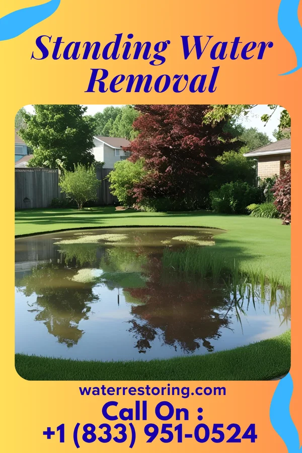 Standing Water Removal in Rose Hill, IL